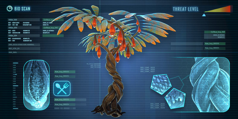 fruit